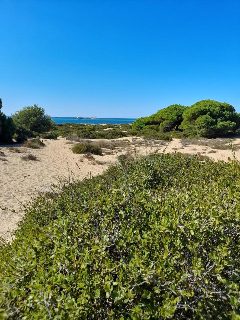 Apartamento Playa La Barrosa Chiclana de la Frontera Eksteriør bilde