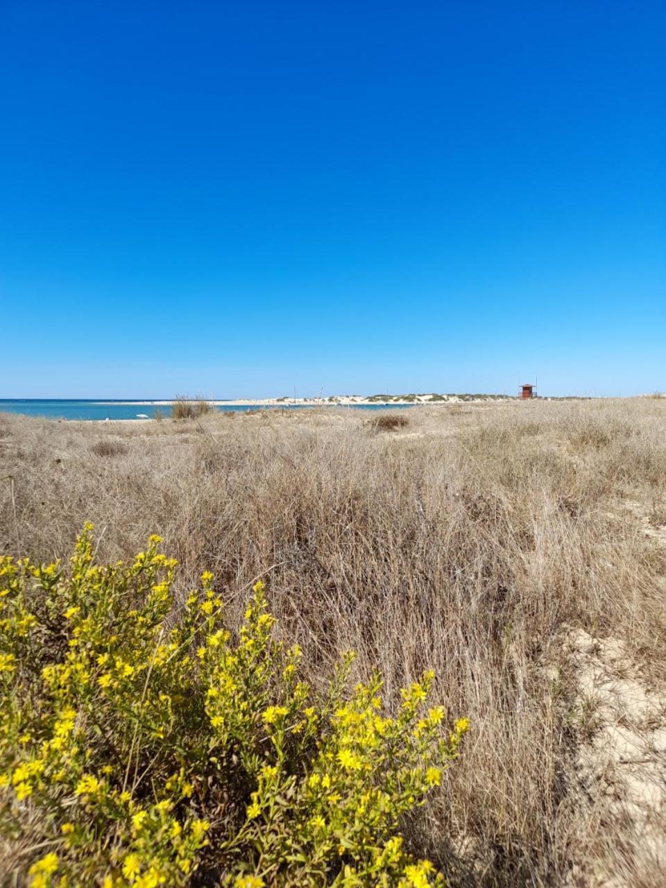 Apartamento Playa La Barrosa Chiclana de la Frontera Eksteriør bilde